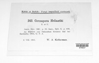 Cercospora helianthi image